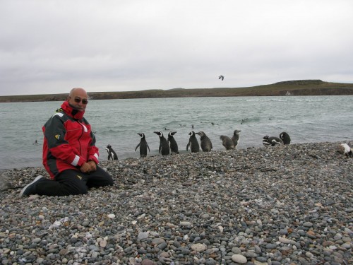 23 pinguinos en Puerto Deseado
