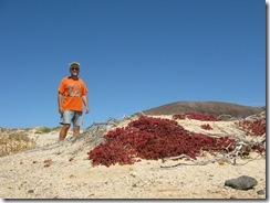 dunas