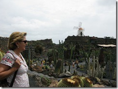 El jardín de cactus (1)