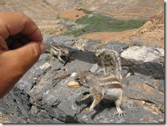 Adaptacion de las especies (1)