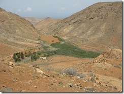 Vega de Rio Palmas