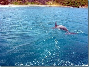 20090923-Fernando de Noronha (17)