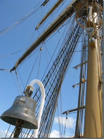 El Cisne Branco (15)