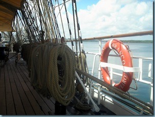 El Cisne Branco (6)