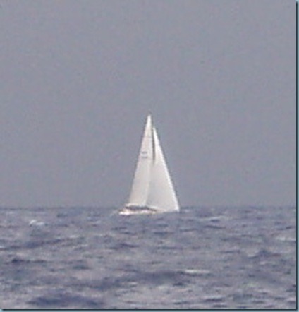 P1010011b