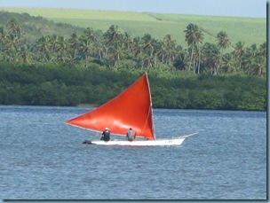 20091022 naranja