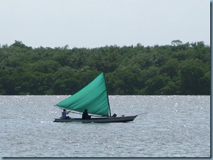20091027 verde