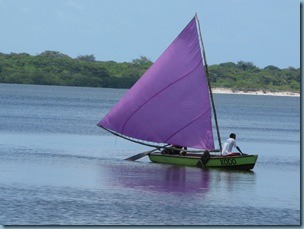 20091028 violeta