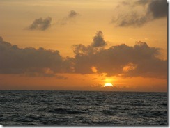 IMG_3736