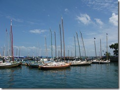 IMG_3768 IMG_3768