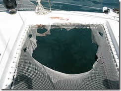 IMG_3795 IMG_3795