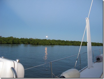IMG_5557 IMG_5557