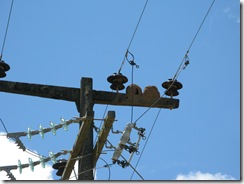 IMG_5569 IMG_5569