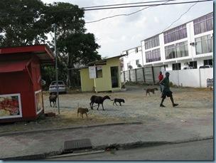 240-08 Vistas de Scarborought o city no name (1)