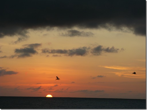 Playmouth Bay (10)