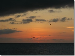 Playmouth Bay (13)