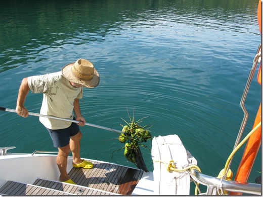 20120628 17'22 01 nueva pesca.jpg