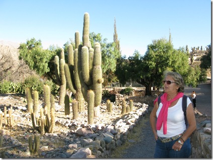 079 Botanico junto al Pucará