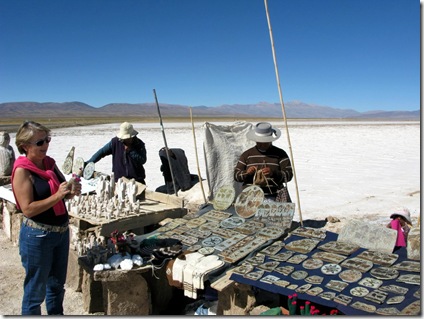 085 En las Salinas Grandes 