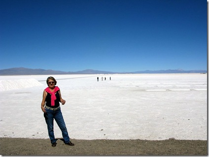 087 En las Salinas Grandes 