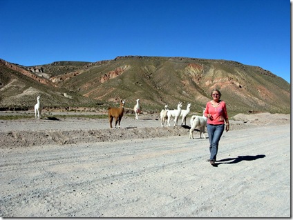 20130507 20'35 23 Camino de vuelta