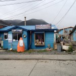 Vistas de Puerto Williams (1)