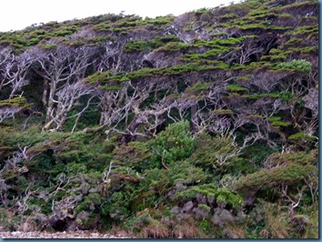 12 Caleta Martial (3)