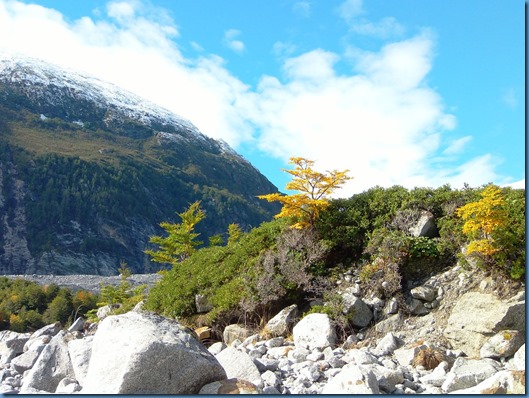 10 en el glaciar (3)