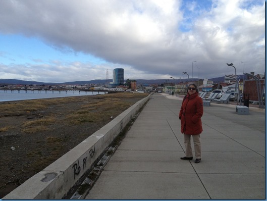 10 Vistas de Punta Arenas (1)