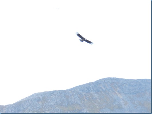 20150117 15'14 DSCN8070