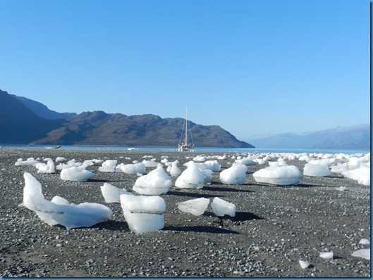 20150203 13'20 Glaciar PIO XI (5)