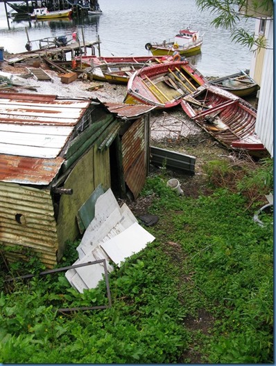 20150205 01'20 Puerto Eden (13)
