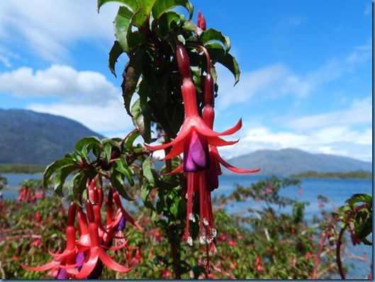 20150205 19'06 Puerto Eden (4)