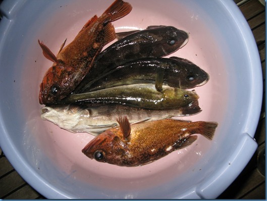 03 Otro día de pesca (1)