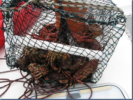 03 Otro día de pesca (2)