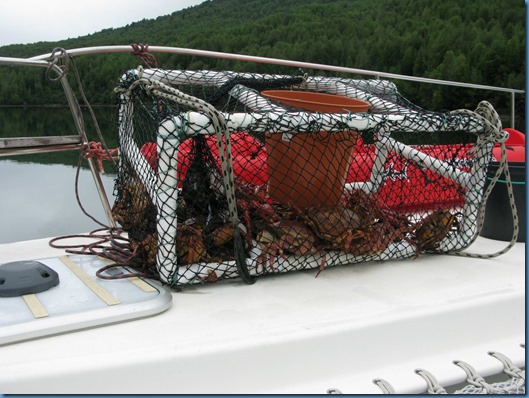 03 Otro día de pesca (3)