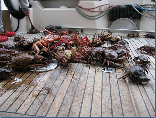 03 Otro día de pesca (4)