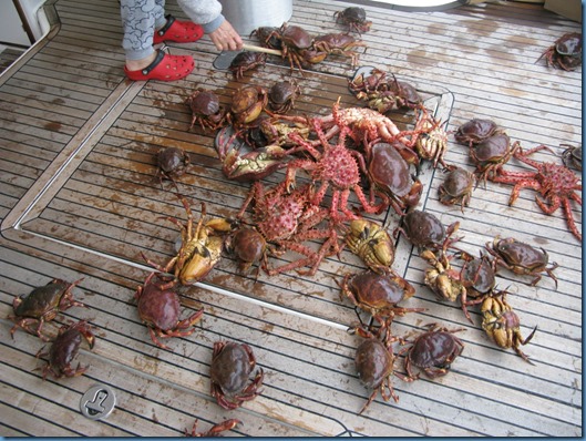 03 Otro día de pesca (5)
