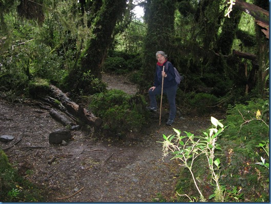 04 El bosque encantado (10)
