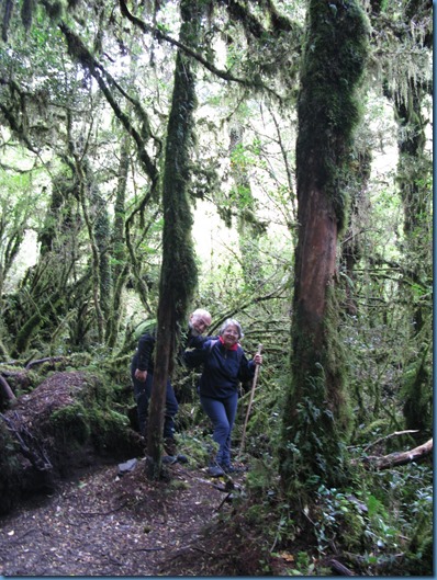 04 El bosque encantado (11)