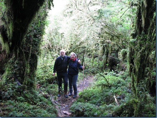 04 El bosque encantado (12)