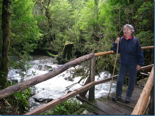 04 El bosque encantado (13)