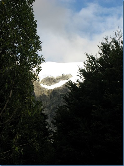 04 El bosque encantado (3)