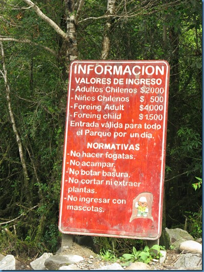 04 El bosque encantado (4)