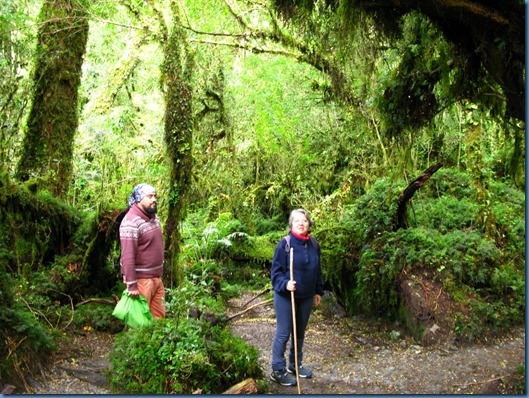 04 El bosque encantado (5)