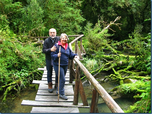 04 El bosque encantado (7)