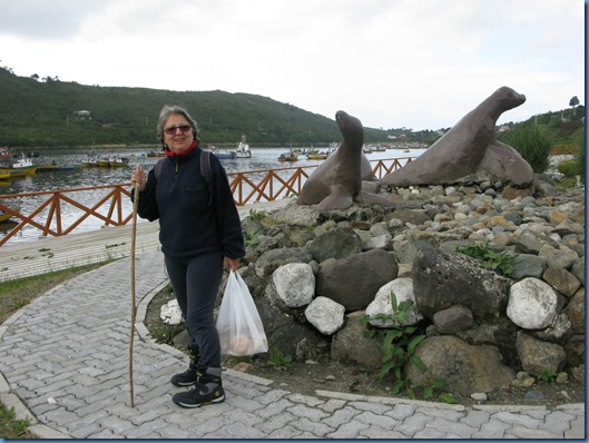 20150310 22'53 03 vistas de Melinka (5)