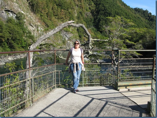 20150326 22'13 09 Saltos del río Petrohué (5)