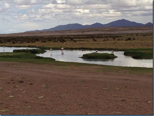 13 en el camino a Uyuni