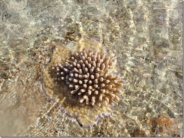 PB070051